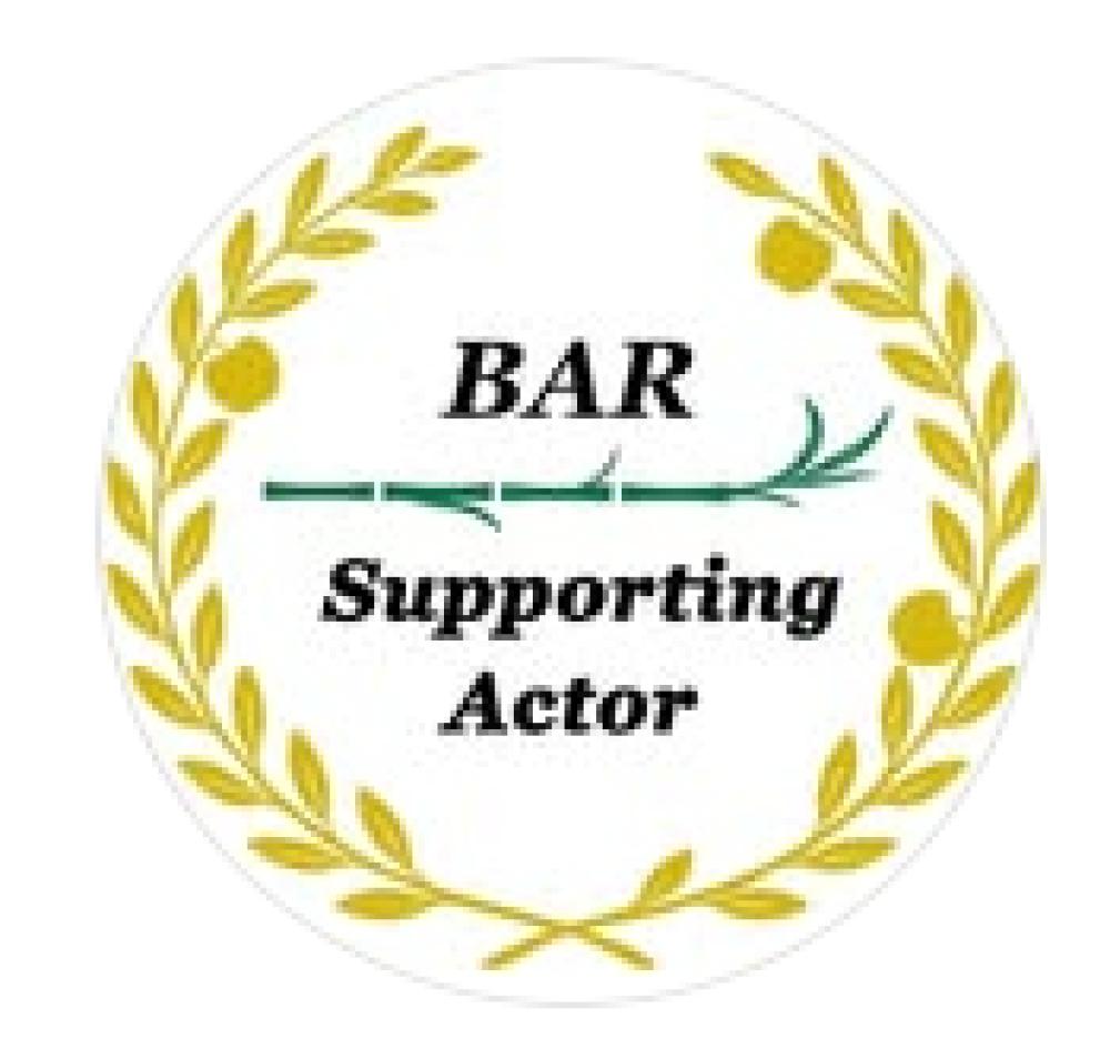 Bar SupportingActor
